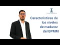 Características de los 5 niveles de madurez del BPMM (Business Process Maturity Model) OMG