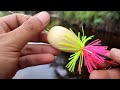 Test Action Jump Frog Oval 4cm
