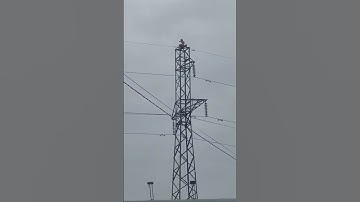 Cô gái ngáo đá trèo cột điện 50m