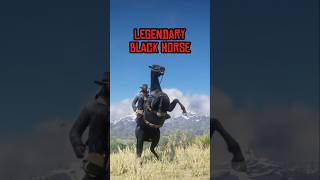 Get Legendary 100% BLACK Horse Locations (Extremely Rare) RDR2