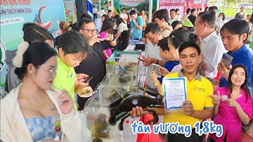 Cuộc Thi Xác Lập Kỷ Lục Về Cua Cà Mau Lần Thứ 2, Vượt Qua Nhiều Đối Thủ Tân Vương Vua Cua Nặng 1,8Kg