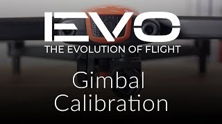 Gimbal Calibration