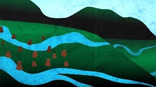 New Brunswick flooding pinned on deforestation