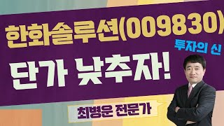 태양광 대표 종목! / 한화솔루션(009830) [최병운 전문가_투자의 신]