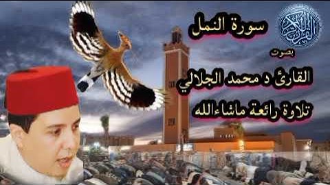##القرآن_الكريم_سورة النمل بصوت القارئ د محمد الجلالي ♥️ تلاوة رائعة ماشاءالله.