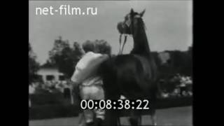 Международный аукцион в Терском конном заводе, 1974 год