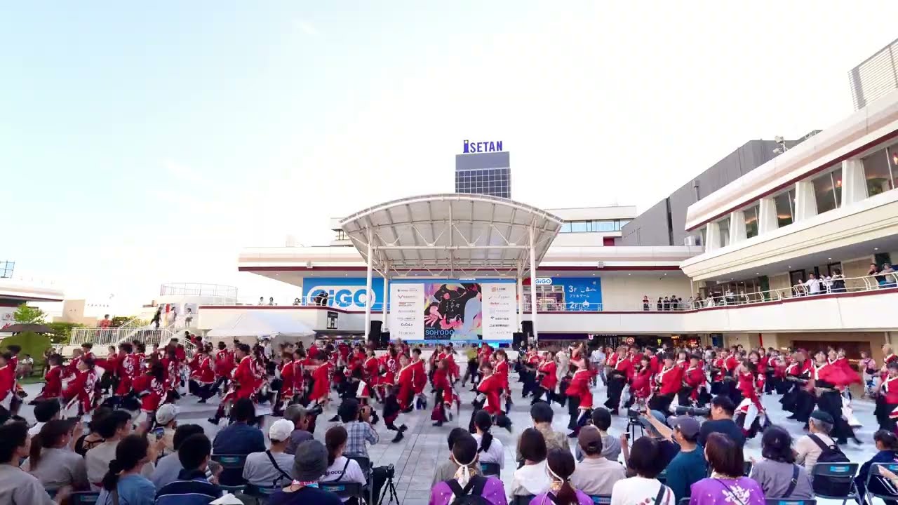 [4K] 早稲田大学 踊り侍 ｜唯我(にいがた総おどり 2025 day3/万代シテイ2F シーキューブ未来広場）