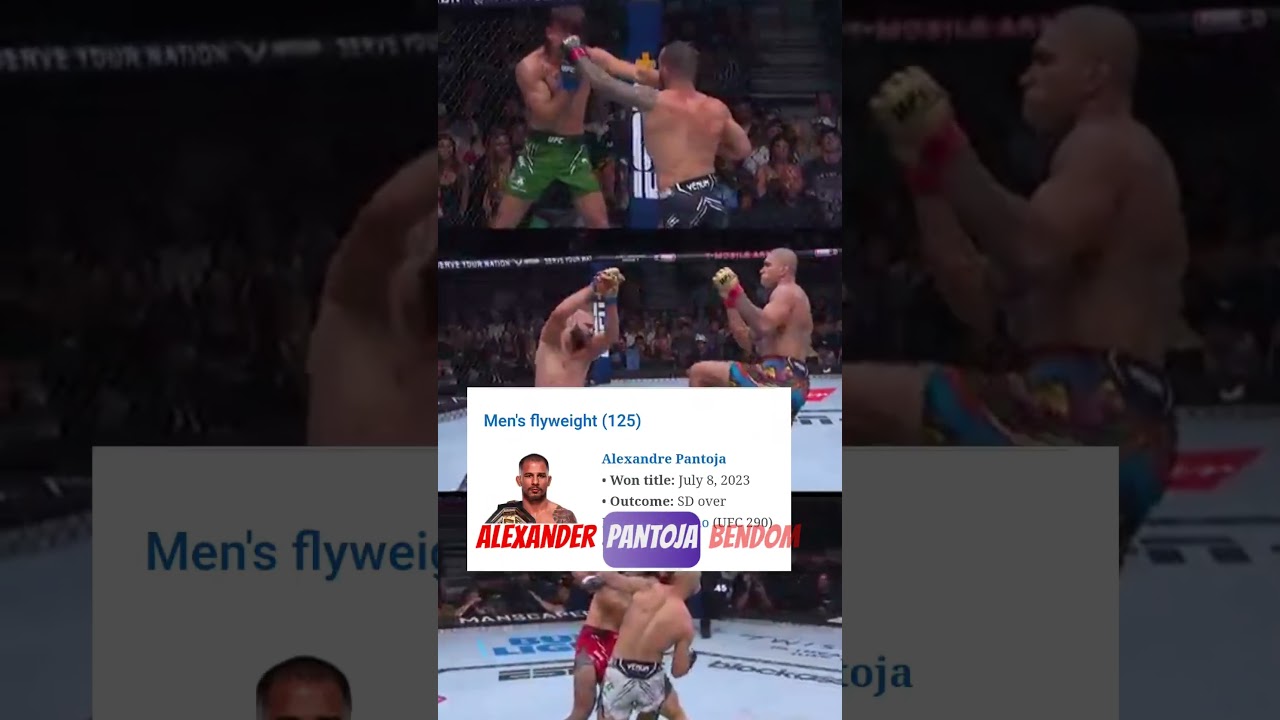 "Every Current UFC Champion in 2025 🥊💪" 