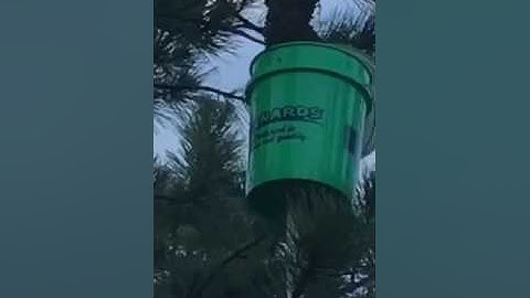 Catching a Swarm with a Bucket on a Pole