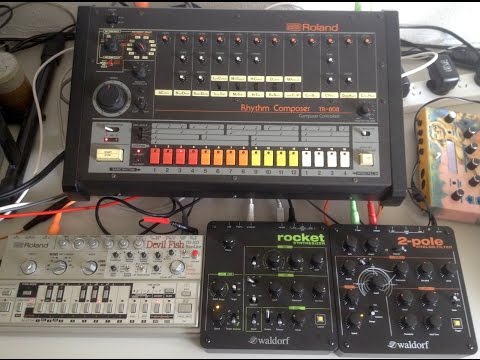 Jammin with Waldorf Rocket, 2-Pole, TR808 and Devilfish 303