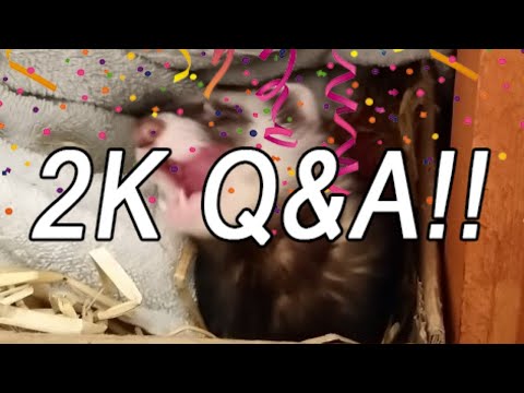 2k Subscriber Q&A Stream! Battletech And Chill - 2k Subscriber Q&A Stream! Battletech And Chill