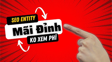 Seo Entity Là Gì ? Quy Trình 4 Bước Seo Entity Hiệu Quả Nhất