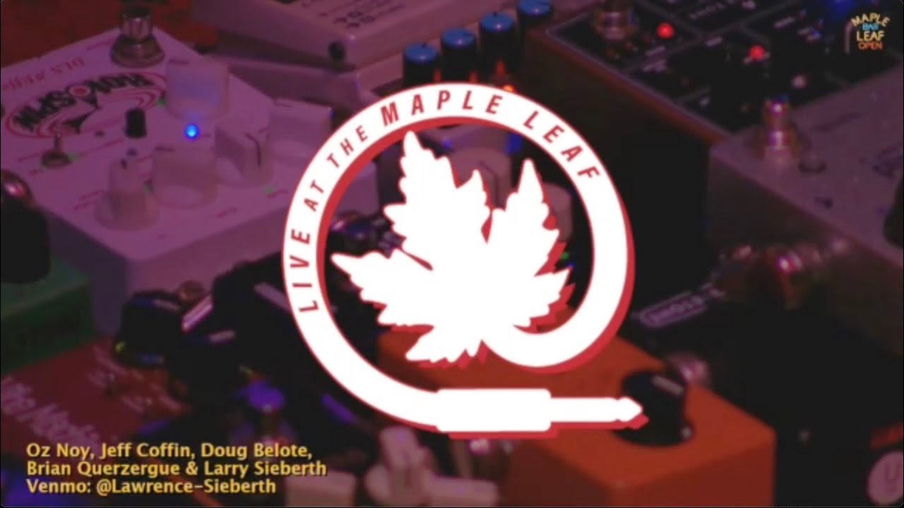 Oz Noy Live at The Maple Leaf | New Orleans Jazz Fusion