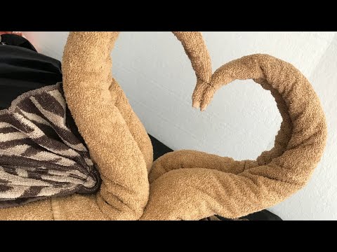how-to-fold-bathroom-towels-for-decoration/swan-towel-folding/bathroom-towel-decor-ideas/chymarie
