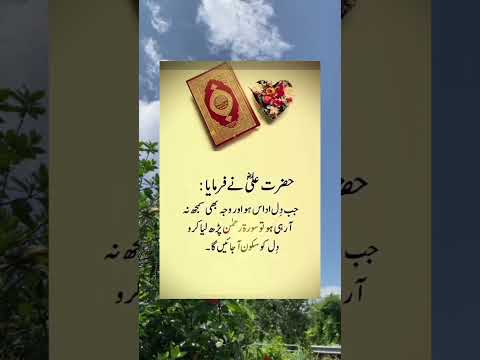 جب دل اداس ہو#trending #quotes #islamic #viralshort #inspirtional #motivational #utubeshorts