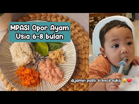 Resep Opor Ayam Mpasi
