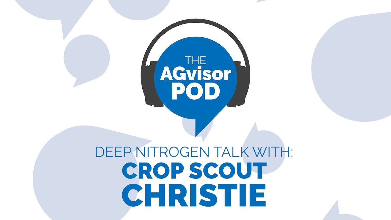 4. Deep Nitrogen Talk (w/ Crop Scout Christie) | AGvisorPOD