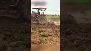 King Of Tractor.#Foryou #Respect #Amazing #Viral #Satisfying