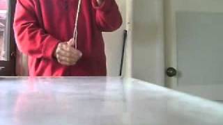 Proper Way to Swat a Fly