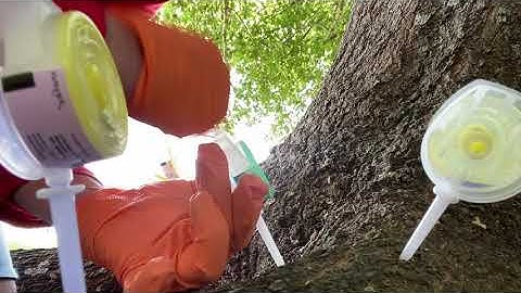 Mauget Imicide Mauget Vigor 53 Mircro Injections How To