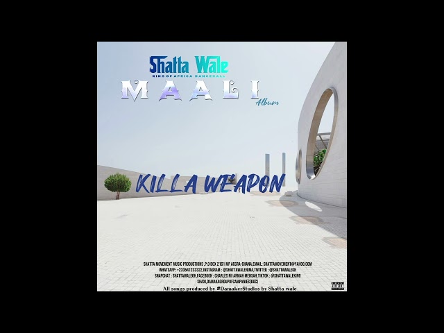 7. Shatta Wale - Killa Weapon (Official Audio)