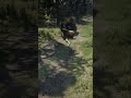 Epic RDR2 Animal Attack | Hawk Strikes Man Near Old Wagon Scene #shorts  #epicmoments