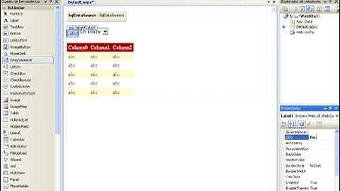 SQL Server Express 2008 y Visual Studio 2008