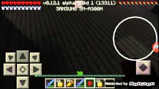 Manecraft Poket Encat