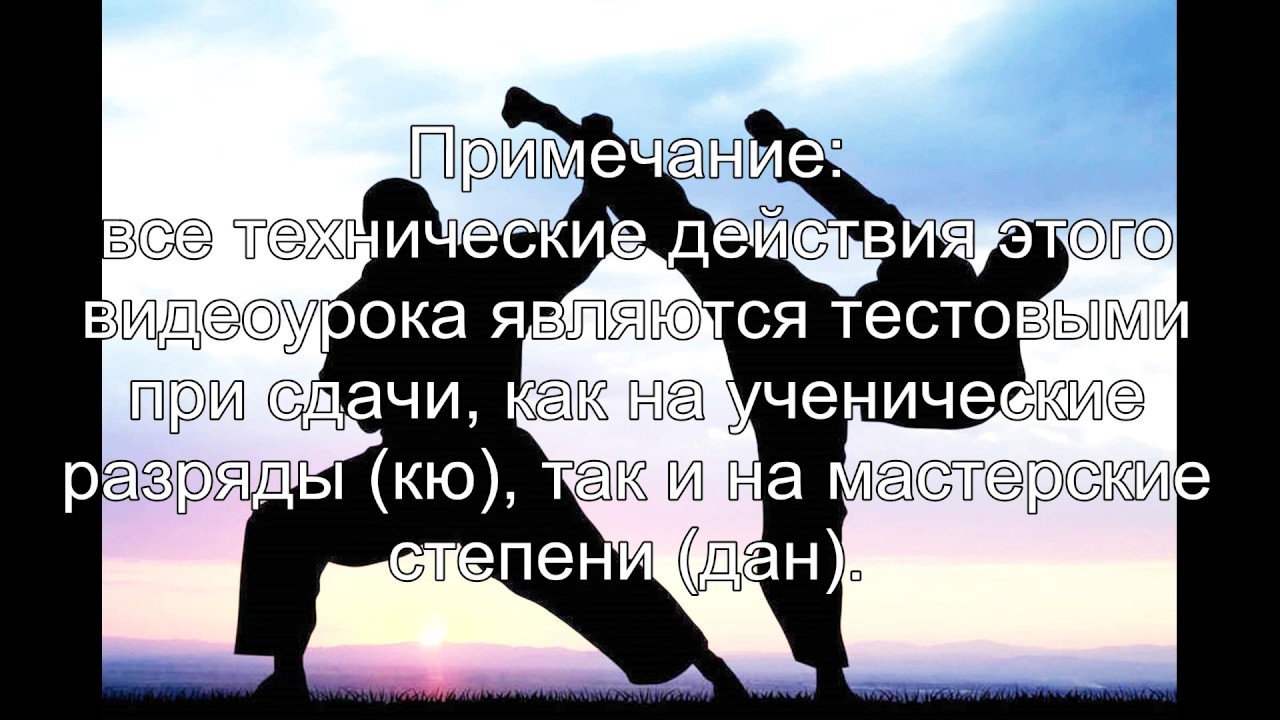 15 видеоурок Уке но гогенри (Uke no go genri) “Пять принципов защиты