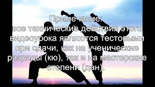 15 видеоурок Уке но гогенри (Uke no go genri) - “Пять принципов защиты». 15 видеоурок Уке но гогенри (Uke no go genri) - “Пять принципов защиты».