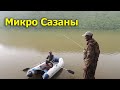 Рыбалка с ночевкой на огромном озере! Ловля карася сазана на пружину.