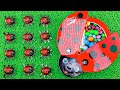Magic Satisfying Video | Ladybug Full of Rainbow Candy with Slime Bottle & Color PlayDoh ASMR