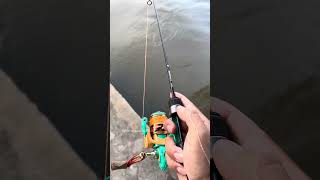 ไปตกปลากัน #fishing #เลี้ยงปลาทะเล #ตกกุ้ง #สมุทรสงคราม #ตกปลา