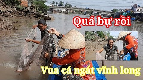 tập 3/ chú sáu,vua cá ngát vĩnh long, lặn sông tiền bắt cá ngát, bắt cá bằng tay /trúng cá to quá