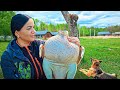 НАЧАЛОСЬ. Освоение нового хутора. О чём "думал" индюк и куда смотрят гуси? Каждый получит своё...