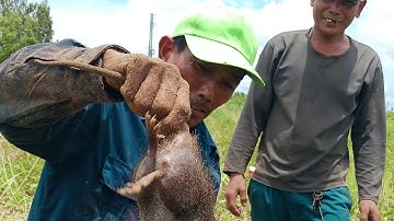 Ra đồng bắt chuột mùa nước nỗi dính con chuột cóng chà bá luôn#sanbat#trainghiem#chê miền tây 