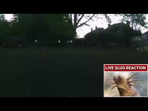 live slug reaction to grass growing
