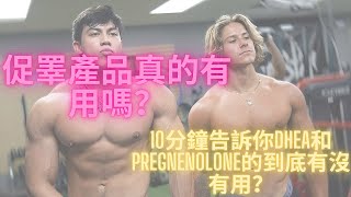 促睪產品真的有用嗎？10分鐘告訴你DHEA和Pregnenolone的到底有沒有用？