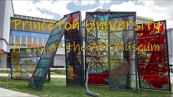 Newly Expanded PRINCETON UNIVERSITY Art Museum, “All Fronts, No Backs”, with New Commission Artworks