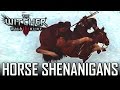 Witcher 3 My Horse Is Acting Up Flying Going Underground 