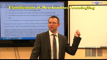 Classification of Merchandise: Commingling Webcast Preview