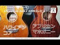 ねぇ、あなたはどっち派?コアとマホガニー"音"の聞き比べ【aNueNue AKK2 AMM2 レビュー】