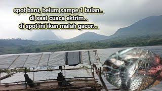 Download Lagu Mancing jatiluhur terbaru//di saat cuaca ektrim di spot ini ikan malah rakus2 kana lukut...  MP3