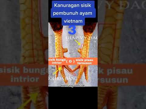 Video: Cara Menulis Sejarah Perubatan yang Baik: 6 Langkah (dengan Gambar)