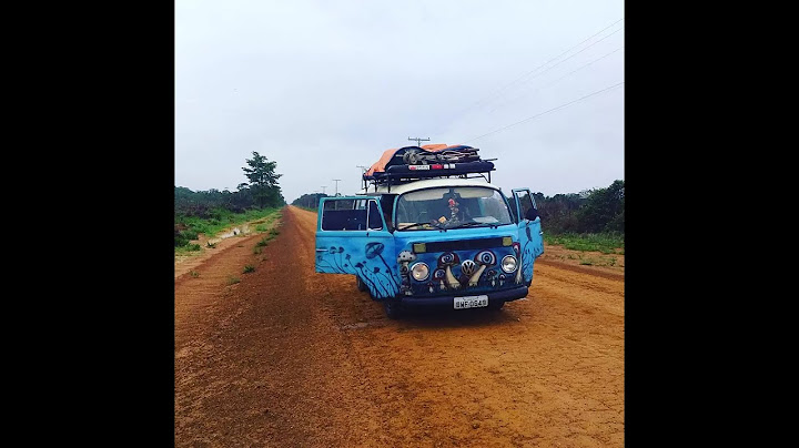 Br 319 com a kombi churumela- caminho das onças