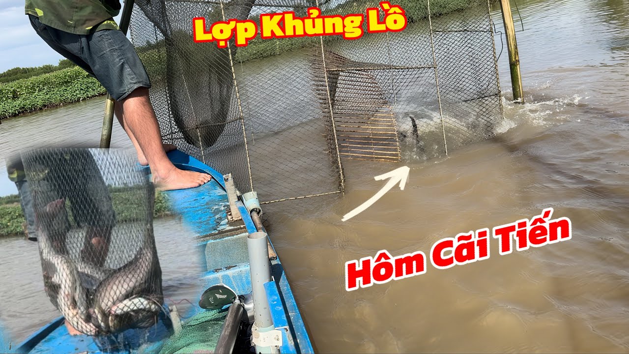 Cải Tiến Hôm Lợp Khủng Lồ Bắt Cá Lớn Kết Quả Như Mong Đợi / Định Nguyễn Hậu Giang
