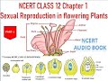 Sexual Reproduction in flowering Plants Part-1 #ncertclass12biology #neet #cbseclass12biology