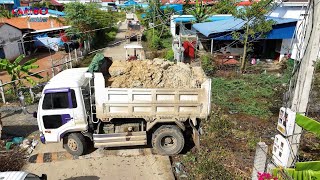 Download Lagu Nicely!START Project LandFill by Expert skill Driver DOZER D20P pushing soil And 5T Trucks unloading MP3