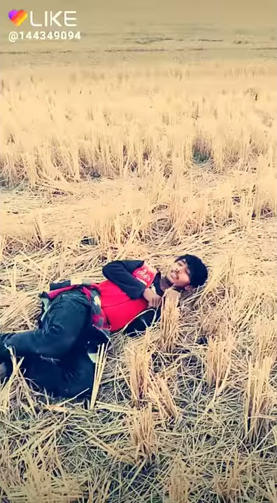 Tiktok(12)