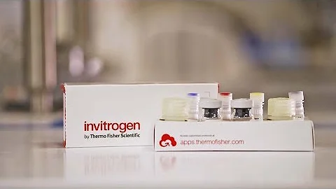 How to run the Invitrogen ProQuantum High Sensitivity Immunoassay kit